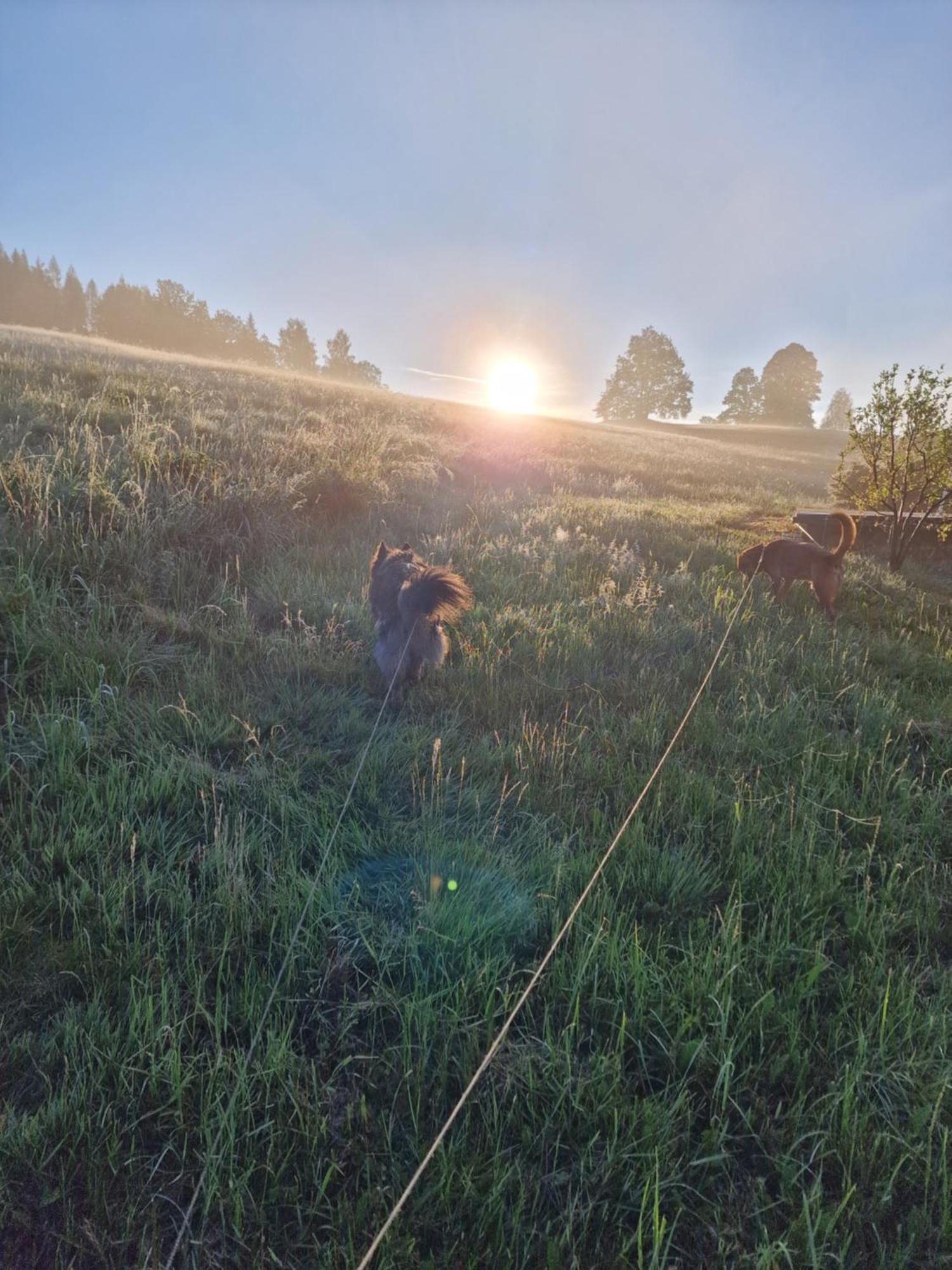 Agro Na Gorce Villa Barcinek Eksteriør billede